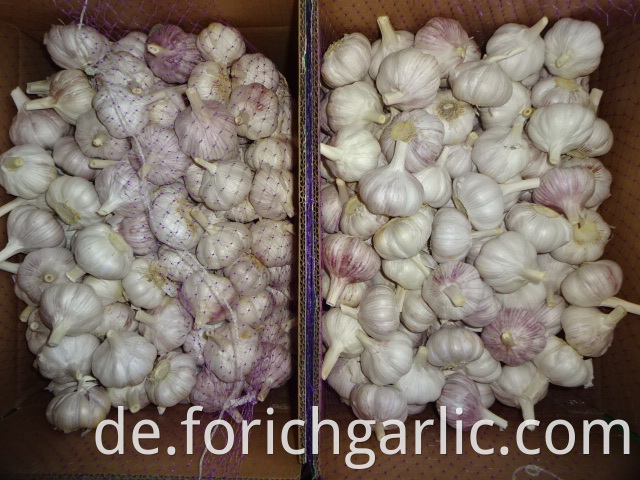 Fresh Best Quality Garlic